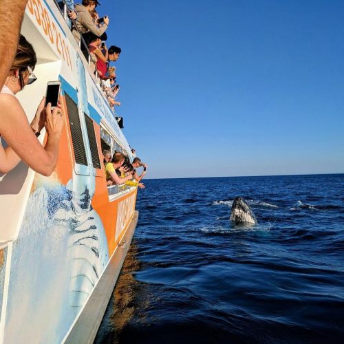 boat2